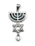 Sterling Silver With Stone of Israel Grafted In Pendant